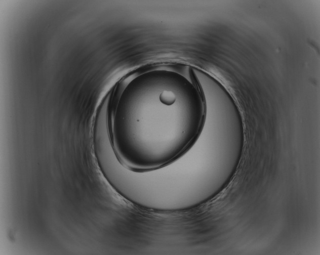 X0000092281392200710041403