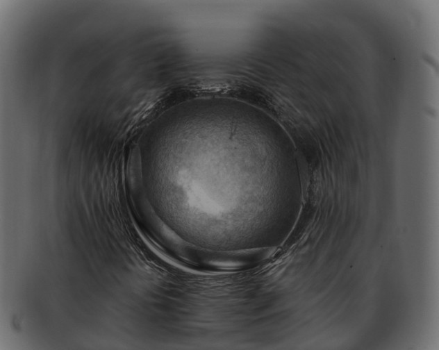 X0000092281394200710041402