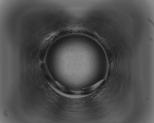 X0000092281398200710041402