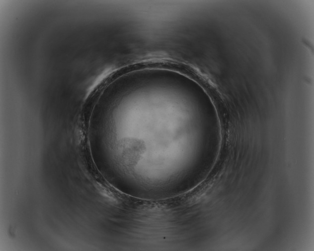 X0000092281400200710041402