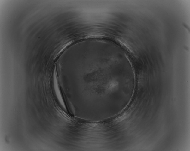 X0000092281401200710041402