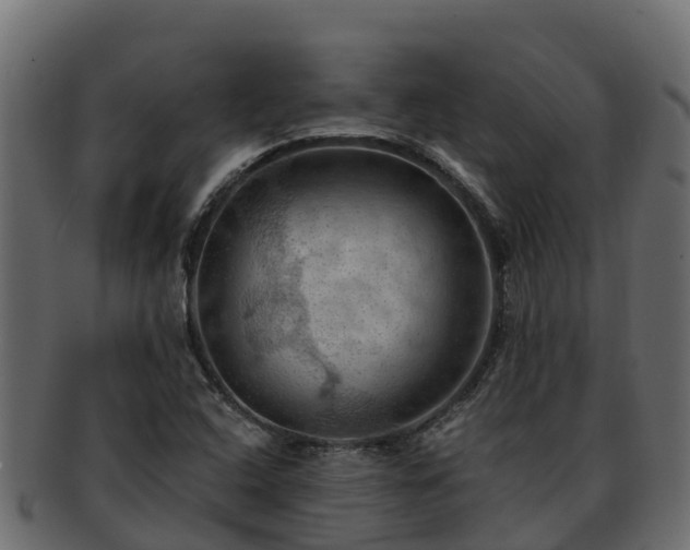 X0000092281408200710041402