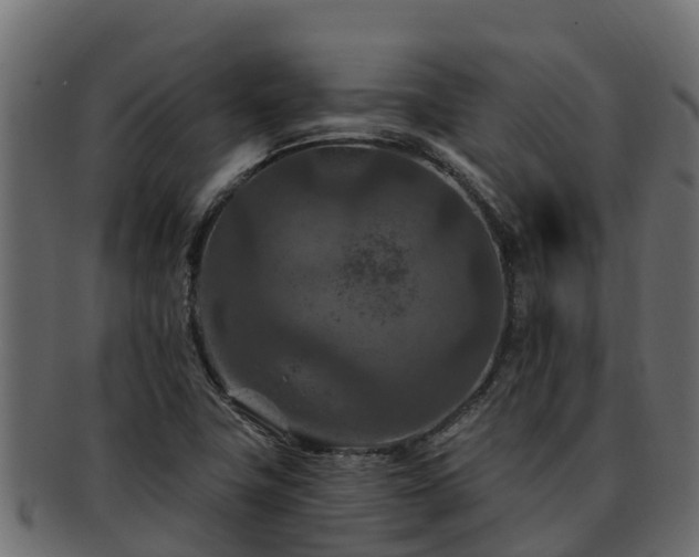 X0000092281411200710041402