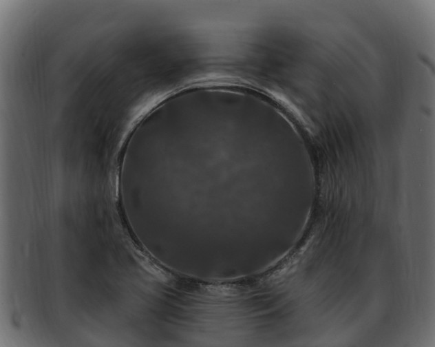 X0000092281413200710041402