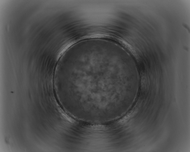 X0000092281417200710041402