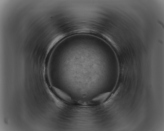 X0000092281418200710041402