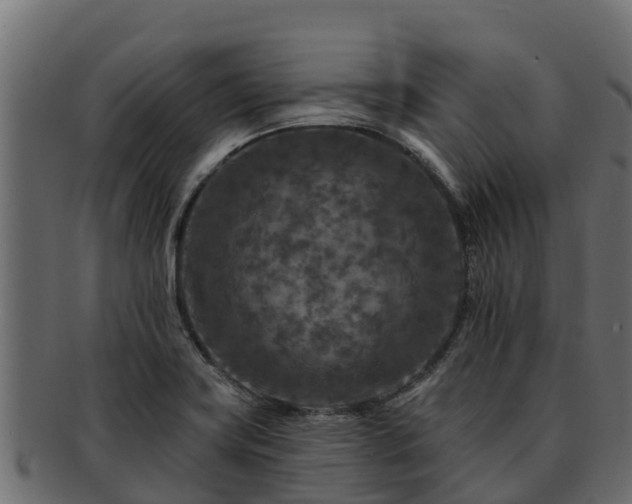 X0000092281419200710041402