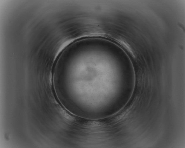 X0000092281420200710041402