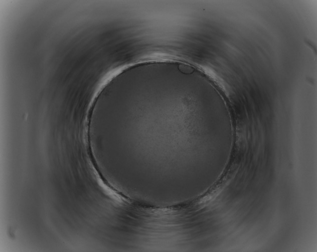 X0000092281421200710041402