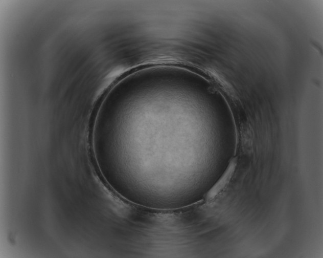 X0000092281422200710041402