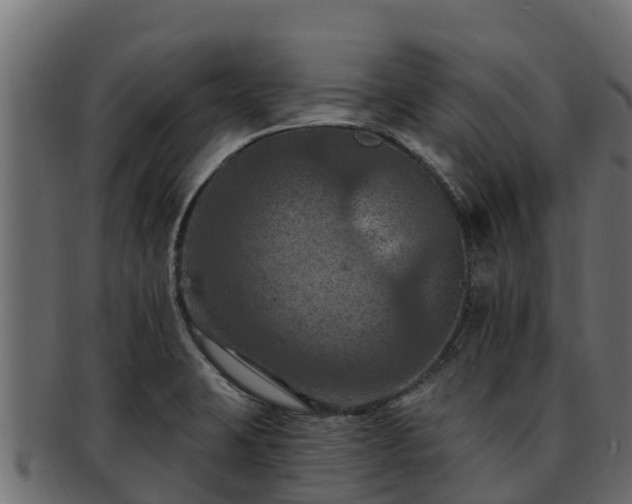 X0000092281423200710041402