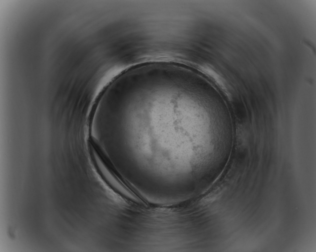 X0000092281424200710041402