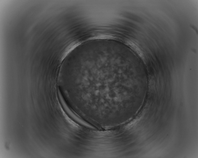 X0000092281425200710041402