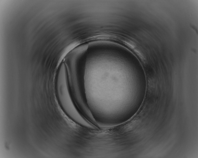 X0000092281426200710041402