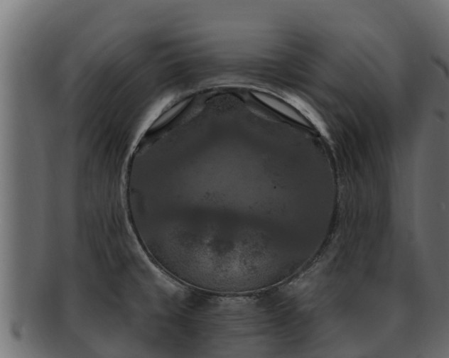 X0000092281429200710041402