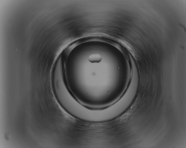 X0000092281430200710041403