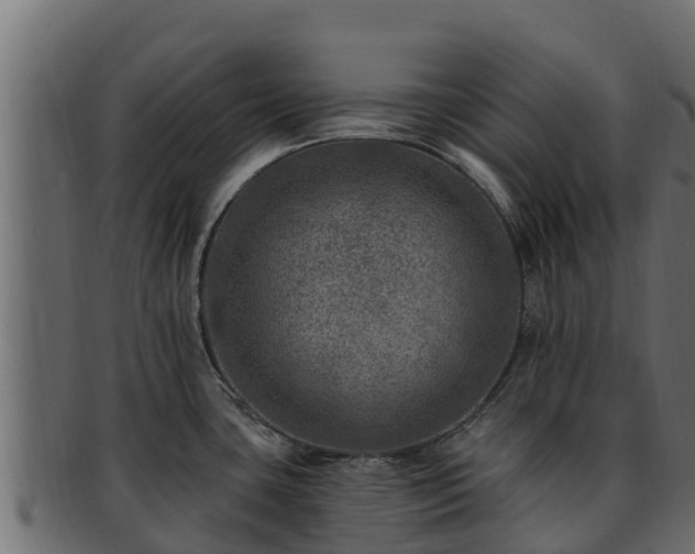 X0000092281435200710041403