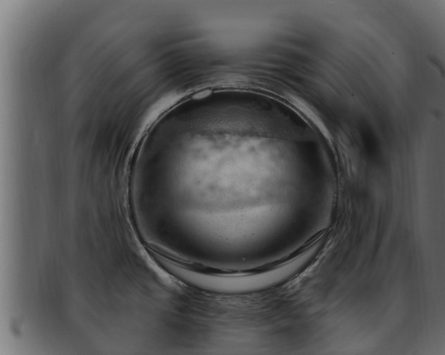 X0000092281437200710041403