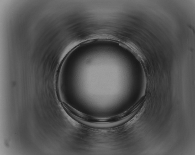 X0000092281438200710041403