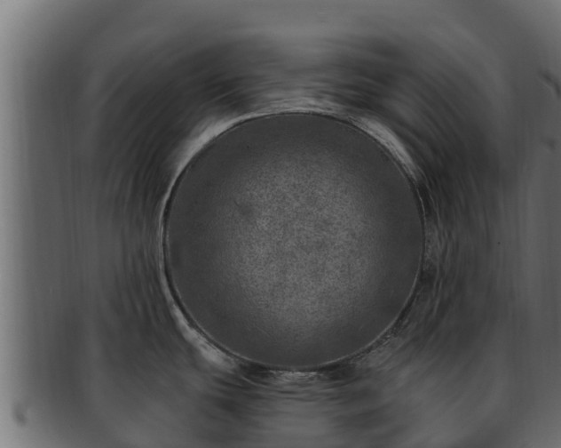 X0000092281439200710041403