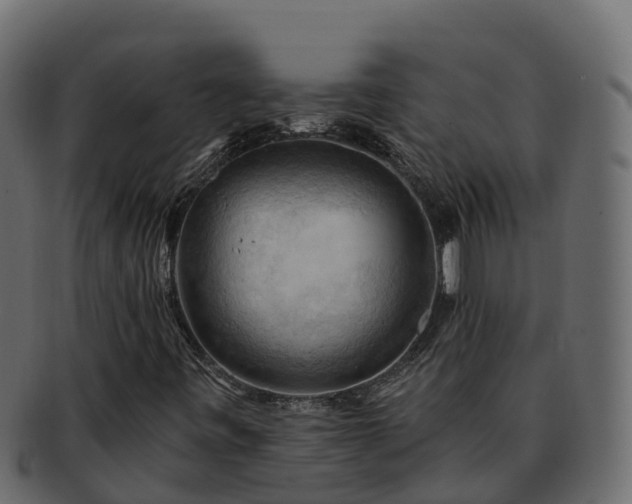 X0000092281443200710041402