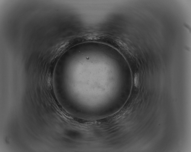 X0000092281444200710041402