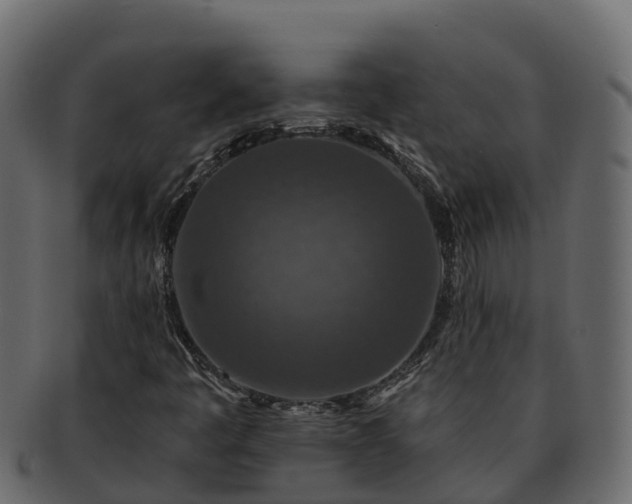 X0000092281445200710041402