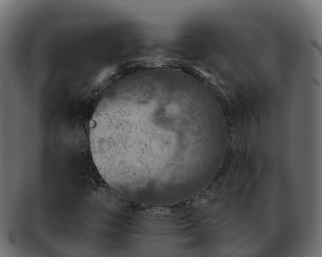 X0000092281446200710041402