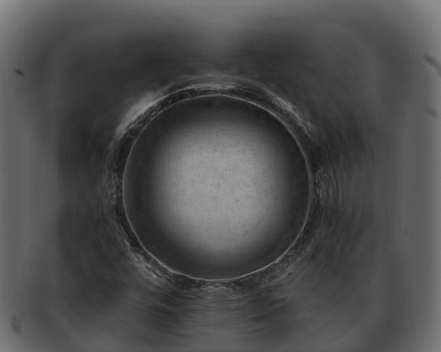 X0000092281448200710041402