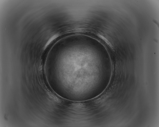 X0000092281450200710041402