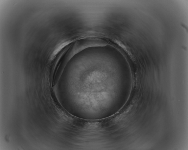 X0000092281453200710041402