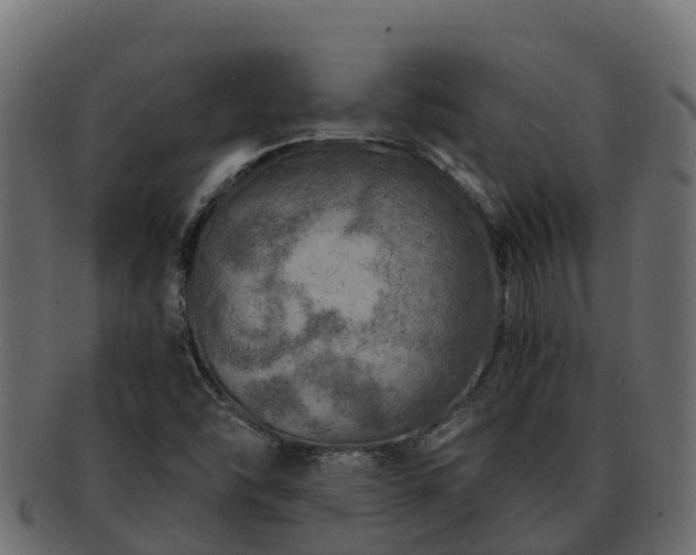 X0000092281454200710041402