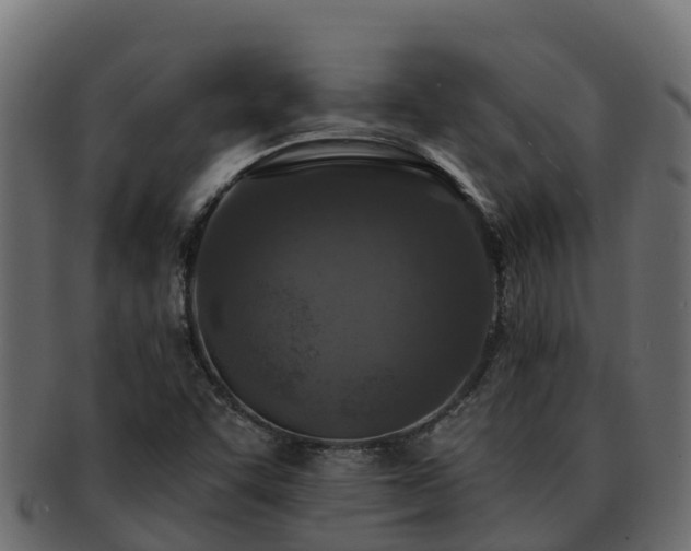 X0000092281455200710041402