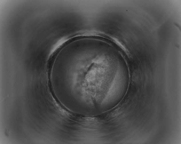 X0000092281456200710041402