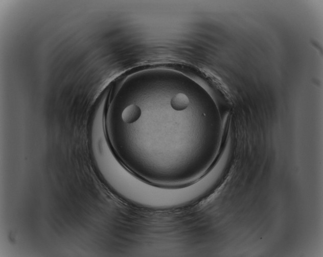 X0000092281457200710041402