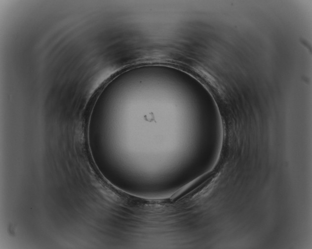 X0000092281458200710041402