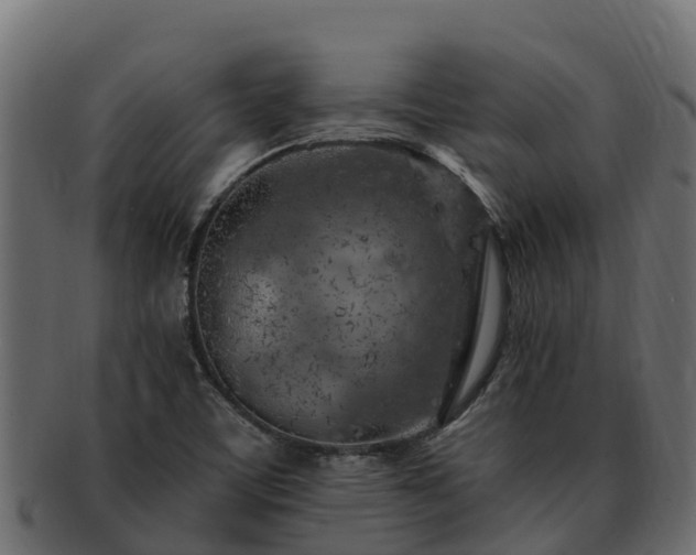 X0000092281459200710041402