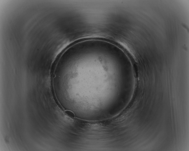 X0000092281460200710041402