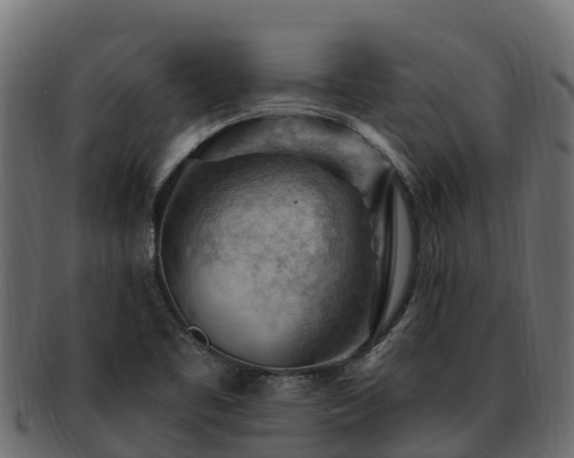 X0000092281461200710041402