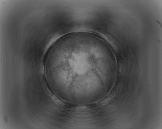 X0000092281462200710041402