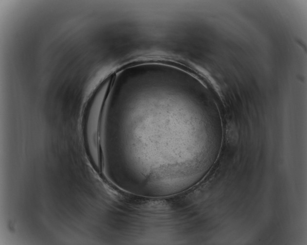 X0000092281464200710041402