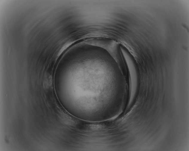 X0000092281465200710041402