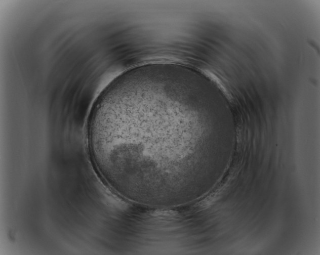 X0000092281466200710041402