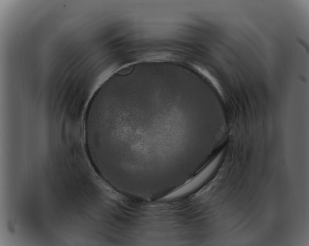 X0000092281467200710041402