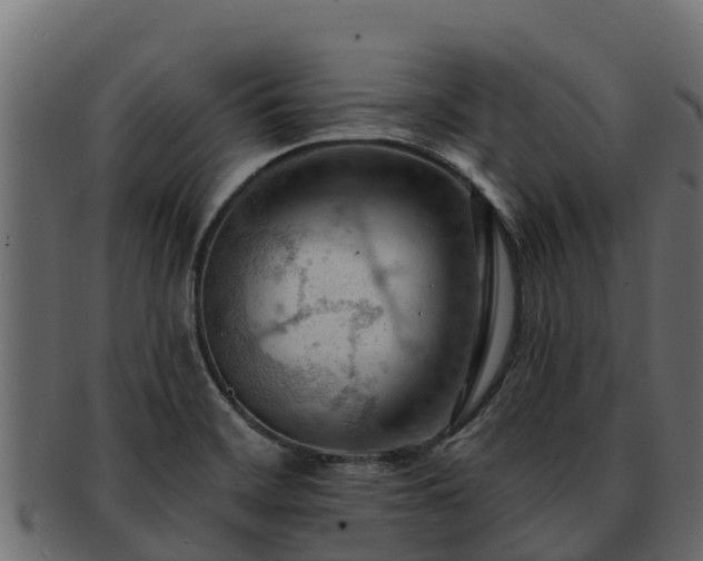 X0000092281468200710041402