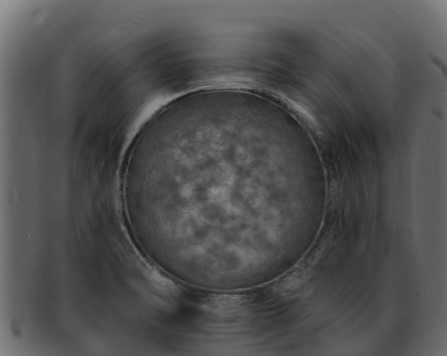 X0000092281470200710041402