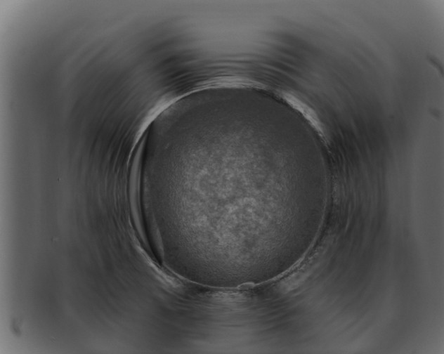 X0000092281473200710041402