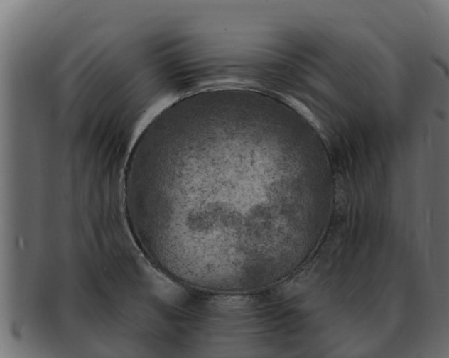 X0000092281474200710041402