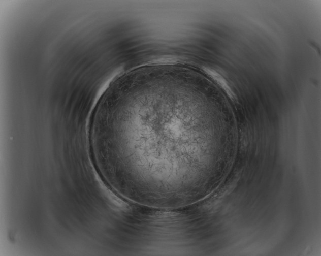 X0000092281475200710041402