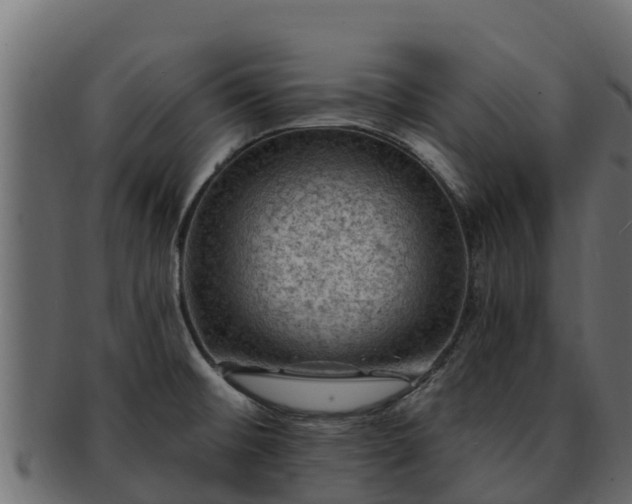 X0000092281476200710041402